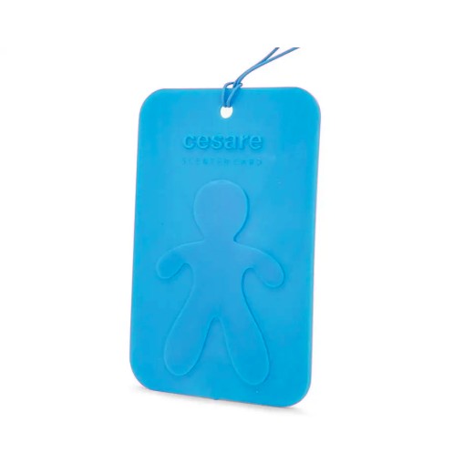 Závěsná vůně Mr&Mrs Fragrance Cesare Scented Card New Car